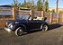 1979 Volkswagen Beetle for sale 101007605